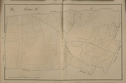 Plan du cadastre napoléonien - Lucheux : H
