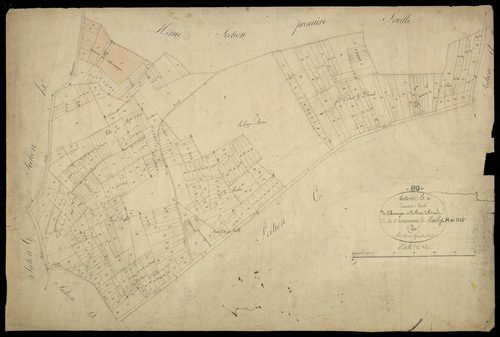 Plan du cadastre napoléonien - Mailly-Maillet (Mailly) : Colincamps ; Bois de Branlé (Le), B2