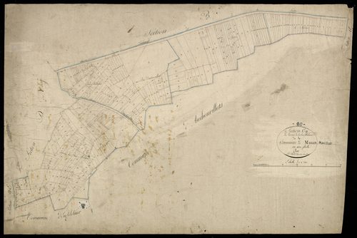 Plan du cadastre napoléonien - Mailly-Maillet (Mailly) : Derrière de la Rue Madame (Le), C