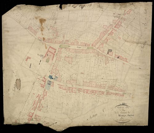 Plan du cadastre napoléonien - Mailly-Maillet (Mailly) : Village (Le), D et partie de E