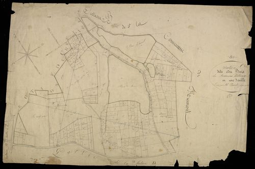 Plan du cadastre napoléonien - Maison-Ponthieu (Maison-Ponthieux) : Bois (Le), C