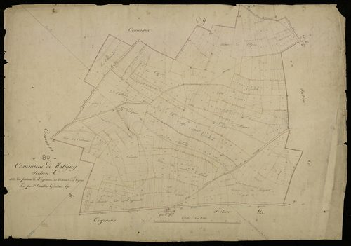 Plan du cadastre napoléonien - Martigny (Matigny) : Pâtures de Voyennnes, des Marais et des Vignes (Les), C