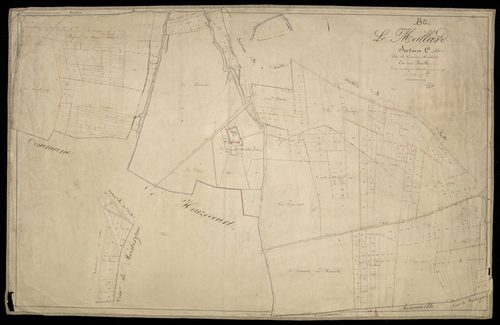 Plan du cadastre napoléonien - Meillard (Le) (Le Meillard) : Grand Meillard (Le), C