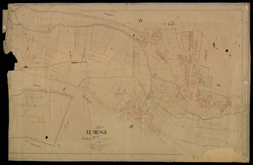 Plan du cadastre napoléonien - Mesge (Le) (Le Mesge) : Chef-lieu (Le), C
