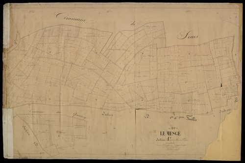 Plan du cadastre napoléonien - Mesge (Le) (Le Mesge) : Bois de Foudre (Le), A