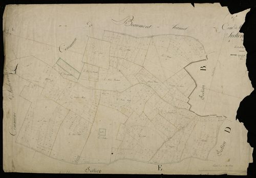Plan du cadastre napoléonien - Mesnil-Martinsart : A