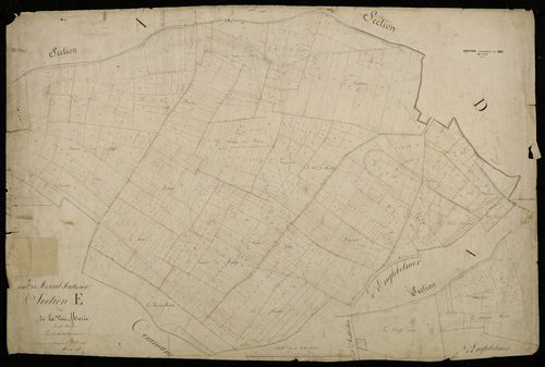 Plan du cadastre napoléonien - Mesnil-Martinsart : Voie Marie (La), E