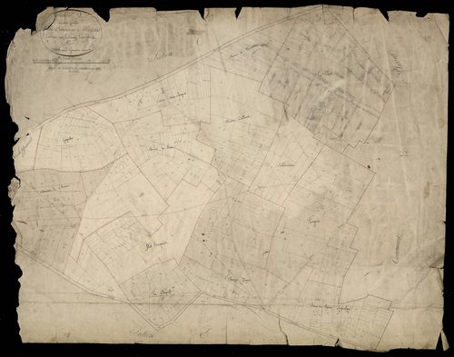 Plan du cadastre napoléonien - Mezieres-en-Santerre (Mézières) : D
