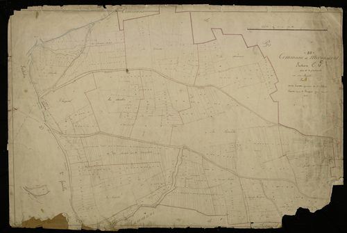 Plan du cadastre napoléonien - Miraumont : Paturelle (La), E
