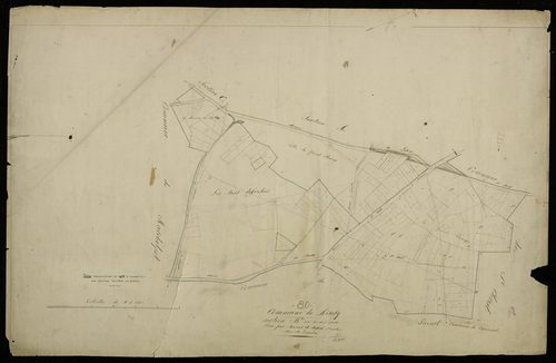 Plan du cadastre napoléonien - Misery : Bois défriché (Le), B