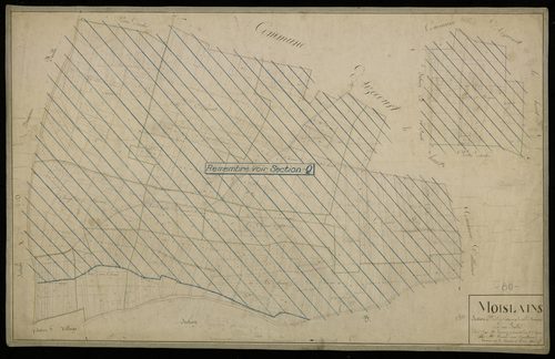 Plan du cadastre napoléonien - Moislains : Certaux (Les) ; Chemin de Péronne (Le), E
