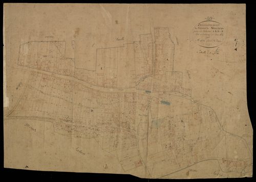 Plan du cadastre napoléonien - Molliens-Dreuil (Molliens Vidame) : développement d'une partie des sections A, B, D1 et F1