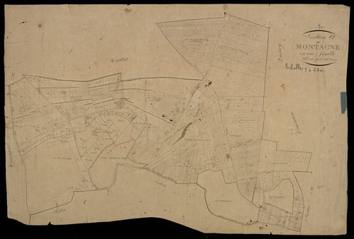 Plan du cadastre napoléonien - Montagne-Fayel (Montagne) : A