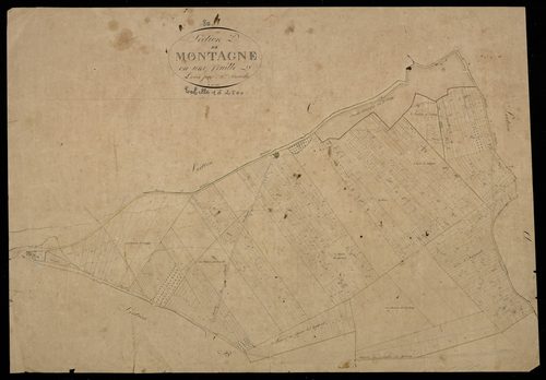 Plan du cadastre napoléonien - Montagne-Fayel (Montagne) : D