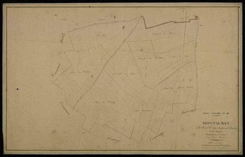 Plan du cadastre napoléonien - Montauban-De-Picardie (Montauban) : Paline de Carnoy (La), D