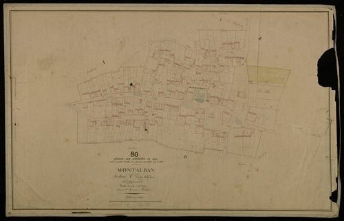 Plan du cadastre napoléonien - Montauban-De-Picardie (Montauban) : Chef-lieu (Le), C développement