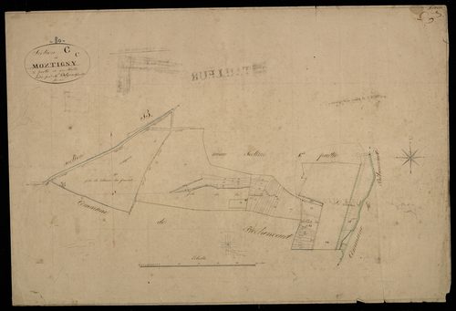 Plan du cadastre napoléonien - Montigny-sur-L'hallue (Montigny) : C2