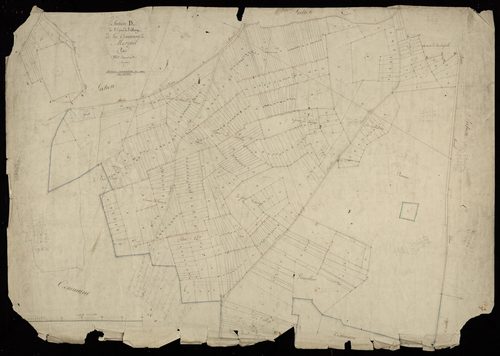 Plan du cadastre napoléonien - Moreuil : Epine de l'Abaye (L'), D