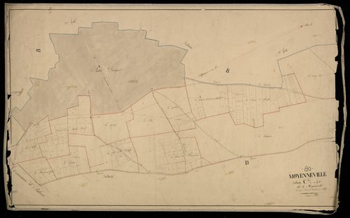 Plan du cadastre napoléonien - Moyenneville : Moyenneville, C