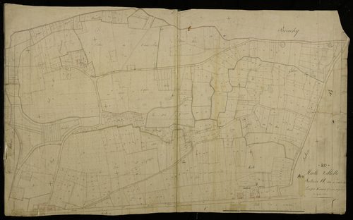 Plan du cadastre napoléonien - Muille-Villette : Arbre Bleu (L'), A