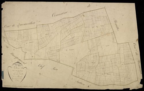 Plan du cadastre napoléonien - Namps-Maisnil (Namps au Mont) : Plaine (La), A