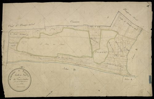 Plan du cadastre napoléonien - Namps-Maisnil (Taisnil) : Bois des jardins (Le), A