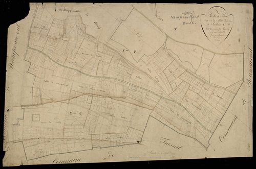 Plan du cadastre napoléonien - Namps-Maisnil (Namps au Mont) : Vallée Robert (La) ; Mont de Conty (Le), B et C