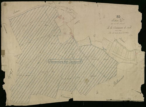 Plan du cadastre napoléonien - Nesle : Saint-Léonard, D