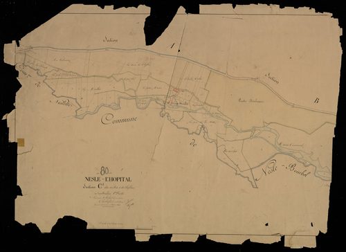 Plan du cadastre napoléonien - Nesle-L'hopital : Prés (Les) ; Chef-lieu (Le), C1