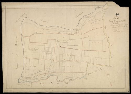 Plan du cadastre napoléonien - Neslette : Mont Blanc (Le), B1