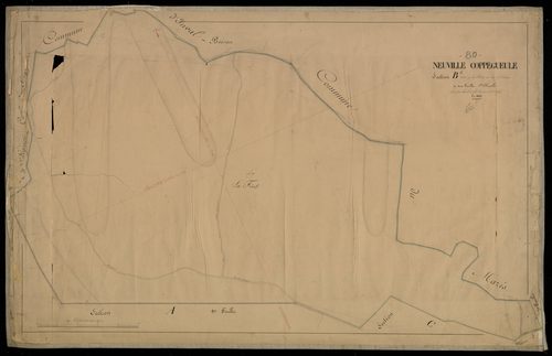 Plan du cadastre napoléonien - Neuville-Coppegueule (Neuville Coppegueule) : Forêt (La) ; Céléestins (Les), B1