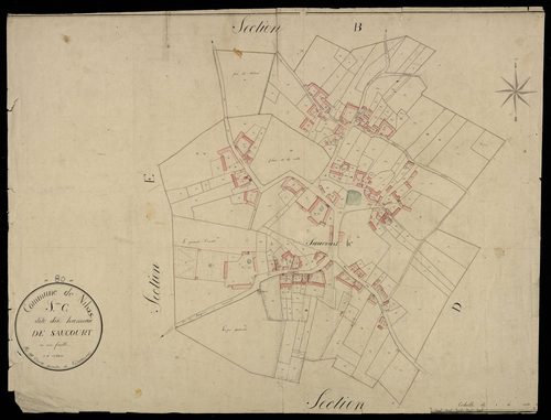 Plan du cadastre napoléonien - Nibas : Hameau de Saucourt (Le), C
