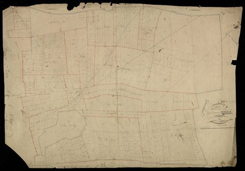 Plan du cadastre napoléonien - Noyelles-en-Chaussée (Noyelles en Chaussée) : Bois de Fay (Le), A1