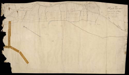 Plan du cadastre napoléonien - Noyelles-sur-Mer (Noyelle sur Mer) : Village (Le), A1