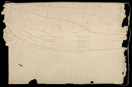Plan du cadastre napoléonien - Noyelles-sur-Mer (Noyelle sur Mer) : Arbre Saint Ouën (L'), F