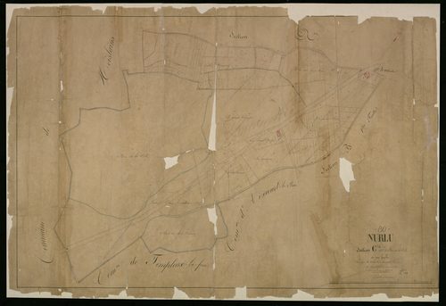 Plan du cadastre napoléonien - Nurlu : Bois de la Ville (Le), C
