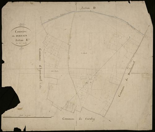 Plan du cadastre napoléonien - Pertain : E