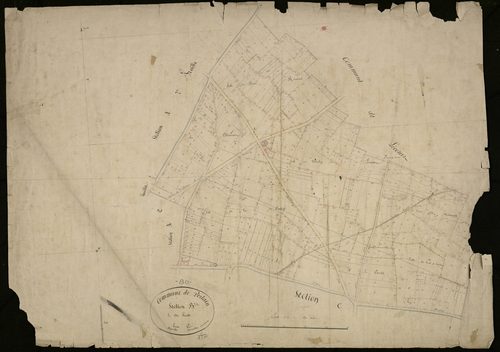 Plan du cadastre napoléonien - Pertain : B
