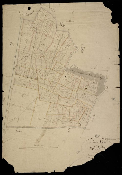 Plan du cadastre napoléonien - Oresmaux (Oresmeaux) : Bois Halet (Le), G