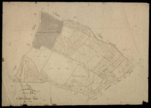 Plan du cadastre napoléonien - Oresmaux (Oresmeaux) : Entre deux Bois, D
