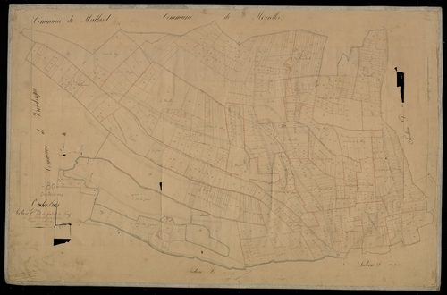 Plan du cadastre napoléonien - Outrebois : Fossés (les) ; Fay (Le), C