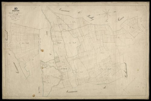 Plan du cadastre napoléonien - Pernois : Routieux, C et partie de D