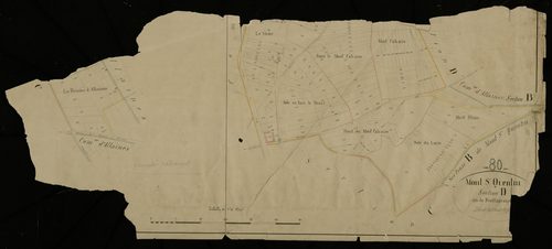 Plan du cadastre napoléonien - Peronne (Mont-Saint-Quentin) : Feuillaucourt, D