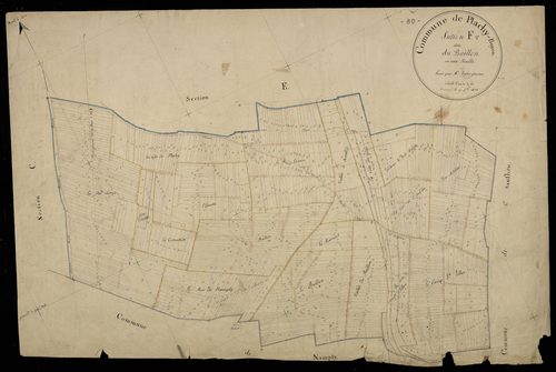 Plan du cadastre napoléonien - Plachy-Buyon : Baillon (Le), F