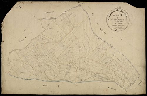 Plan du cadastre napoléonien - Plachy-Buyon : Bout Dumont (Le), D2