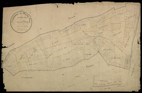 Plan du cadastre napoléonien - Plachy-Buyon : Petit Plachy (Le), A