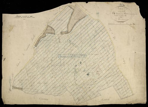 Plan du cadastre napoléonien - Plessier-Rozainvillers (Le) (Le Plessier) : C