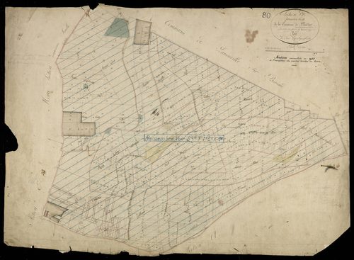 Plan du cadastre napoléonien - Plessier-Rozainvillers (Le) (Le Plessier) : D1