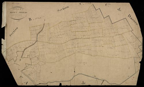 Plan du cadastre napoléonien - Pont-Noyelles (Pont) : Mont de Daours (Le), C et partie de la section B2