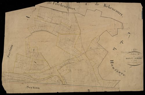 Plan du cadastre napoléonien - Pont-Noyelles (Pont) : Mont-Gribut (Le), A1